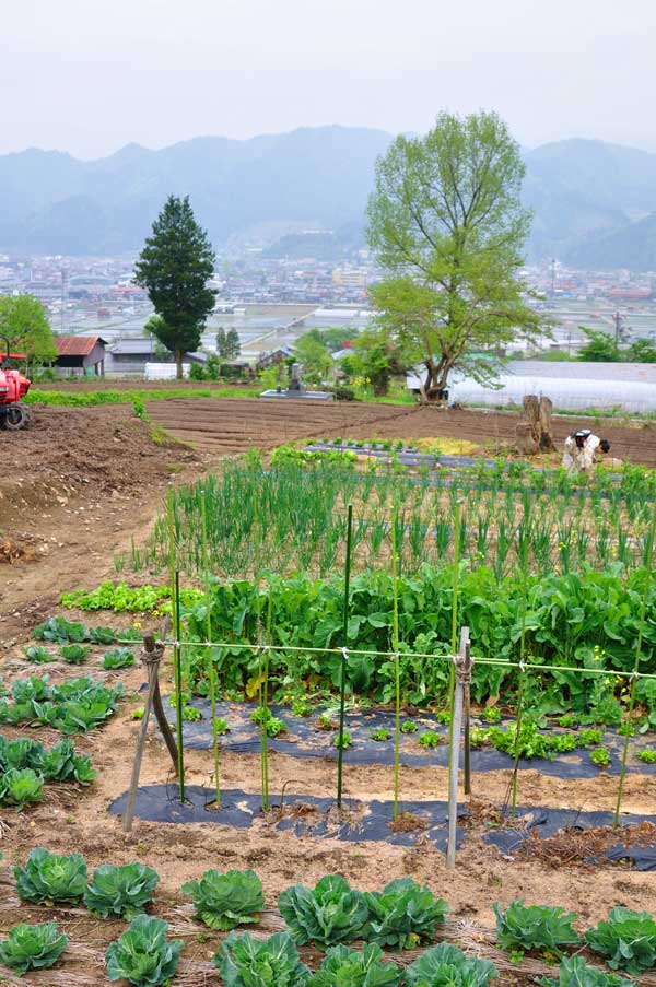 自家菜園